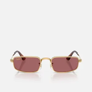 Kính Ray-Ban RB3927 BY A$AP ROCKY Purple