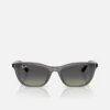 Kính Ray-Ban RB4474D Grey