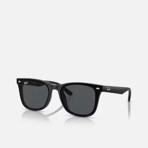Ray-Ban RB4391D Black