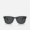 Kính Ray-Ban RB4391D Black