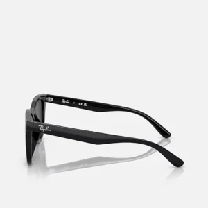 Kính Ray-Ban RB4391D Black