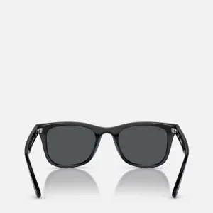 Ray-Ban RB4391D Black