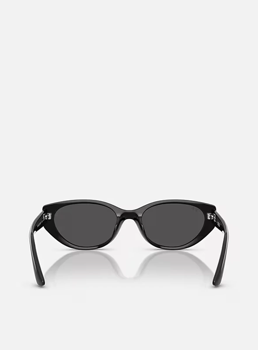 ray-ban-rb4457d-bio-based-3 Ray-Ban RB4457D Bio Based Black