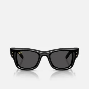 Kính Ray-Ban WAYFARER PUFFER black