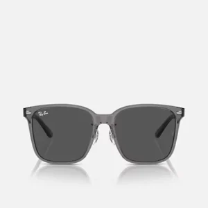 Kính Ray-Ban RB2206D Grey