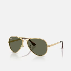 Ray-Ban RB3925 Aviator Max Green Polarized
