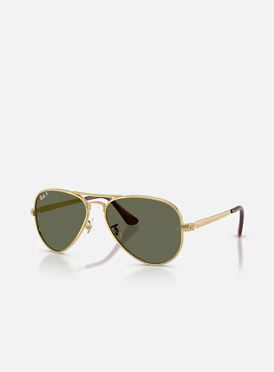 ray-ban-rb3925-aviator-max-green-polarized-1 Ray-Ban RB3925 Aviator Max Green Polarized
