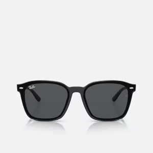 Kính Ray-Ban RB4392D Black