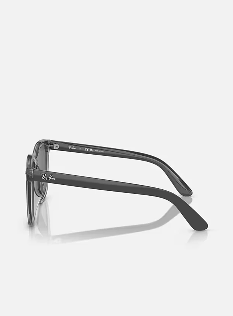 ray-ban-rb4392d-grey-2 Kính Ray-Ban RB4401D Grey