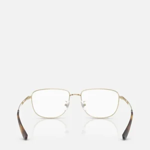Ray-Ban RB6523D Optics Gold