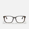 Kính Ray-Ban RB7168D Havana