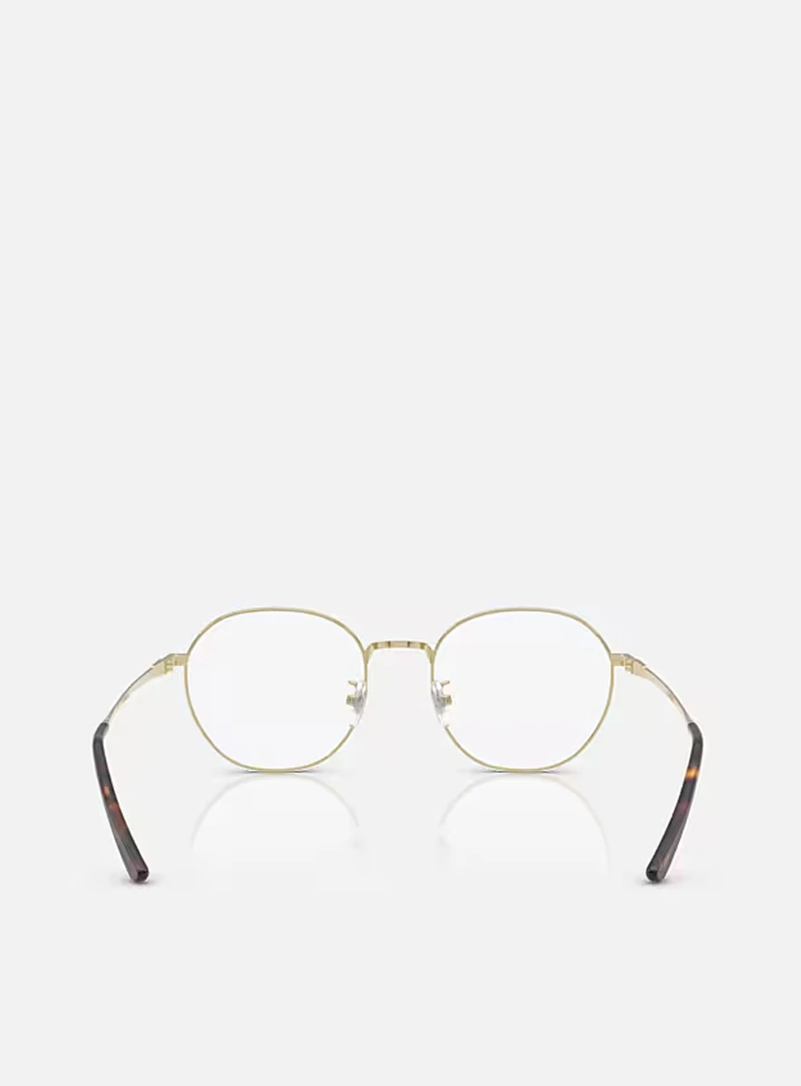 ray-ban-rb8778d-optics-titanium-gold-3 Ray-Ban RB8778D Optics Titanium Gold